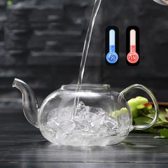 DecorBites™ Glass Teapot Flower Tea Set with Stainless Steel Strainer