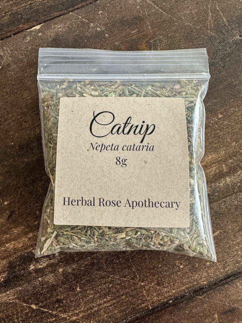 Catnip
