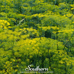 Dukat Dill – 100 Seeds