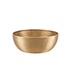 Chakra Metal Singing Bowl Set - 7 Handmade Sound Healing Bowls